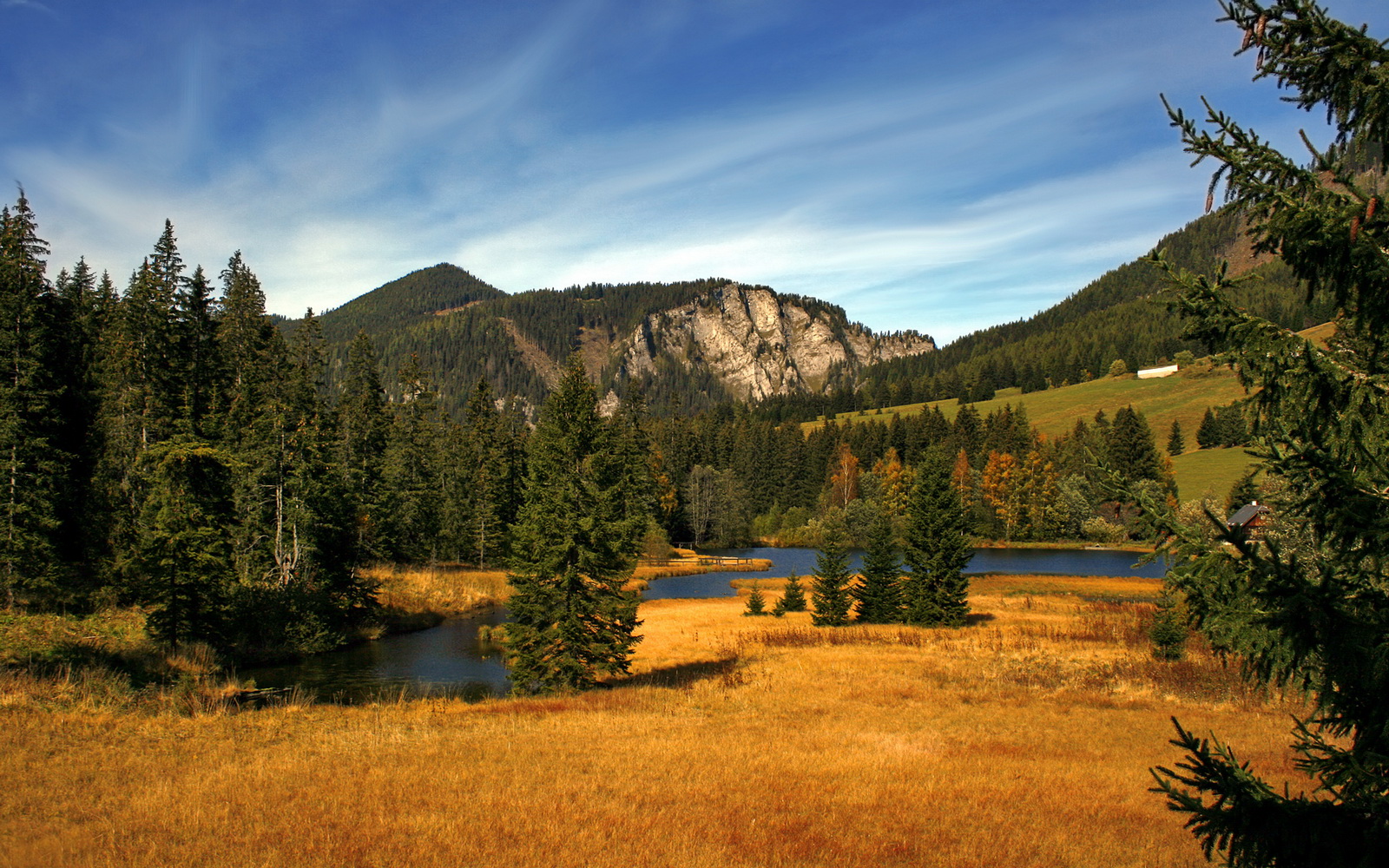 开云体育官网-引擎轰鸣与末节风暴，当F1的速度在篮球场掀起新疆狂飙