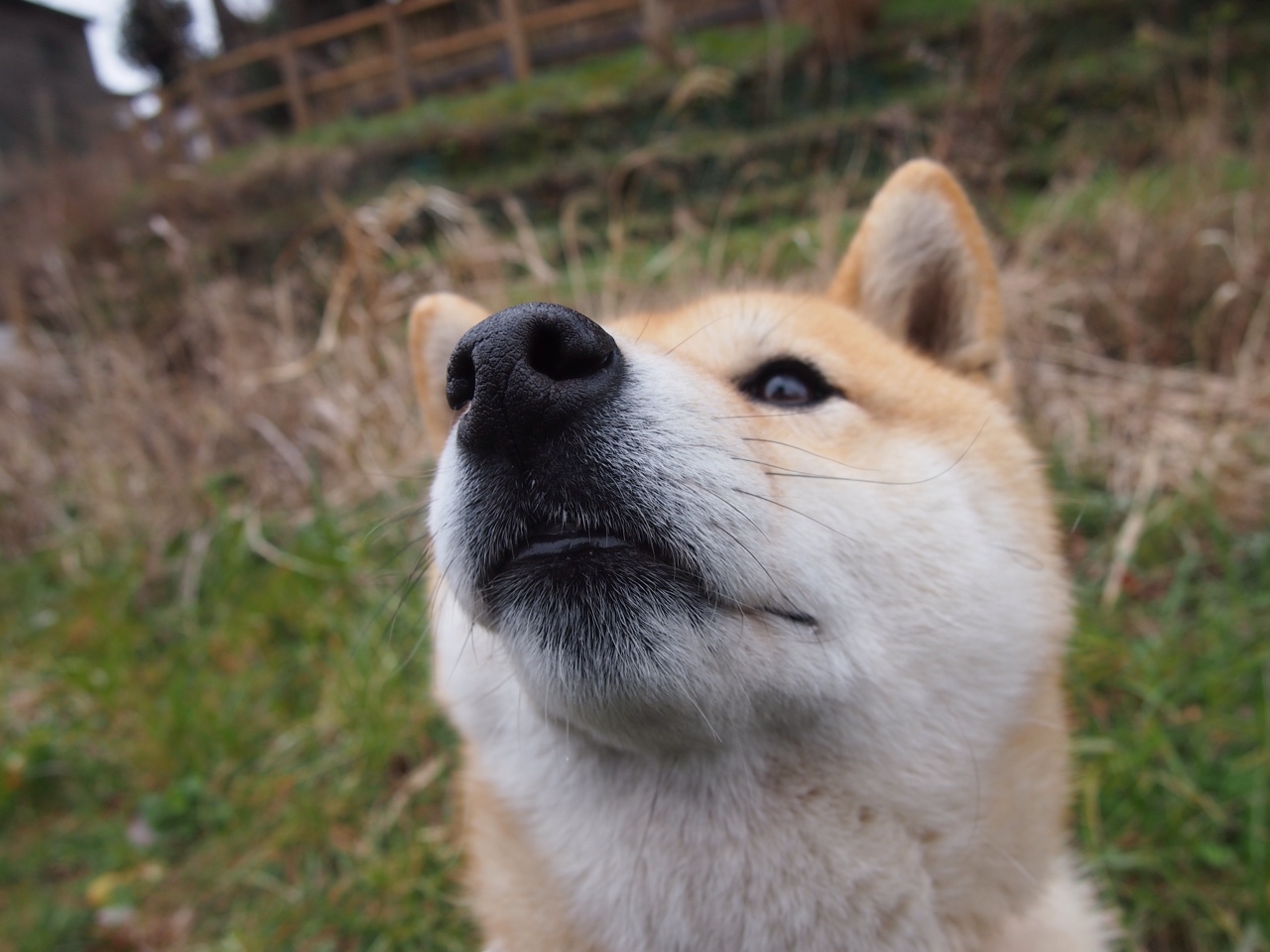 团队篮球哲学的胜利，霍勒迪在关键时刻闪耀
