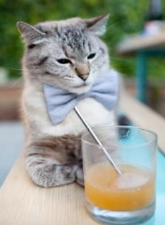 开云体育2026-跨界之星，拉什福德客串西甲引爆全场，马竞对阵毕巴之战无争议MVP诞生