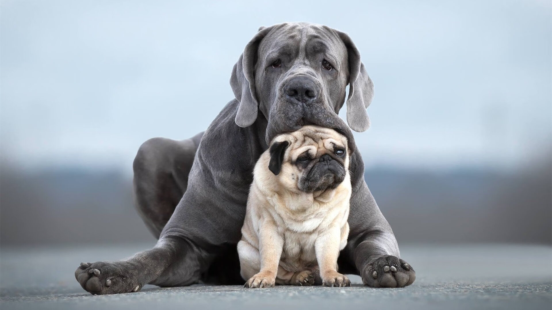 开云体育入口-欧冠心脏引擎，赖斯在寂静战场上导演的独一节奏