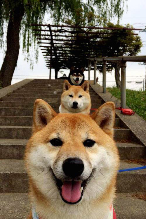 唯一追光，欧冠决赛夜，当世界静止于欧文的独舞