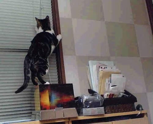 当罗德里遇上红黑军团，一场战术铁锤对压制艺术的终极解码