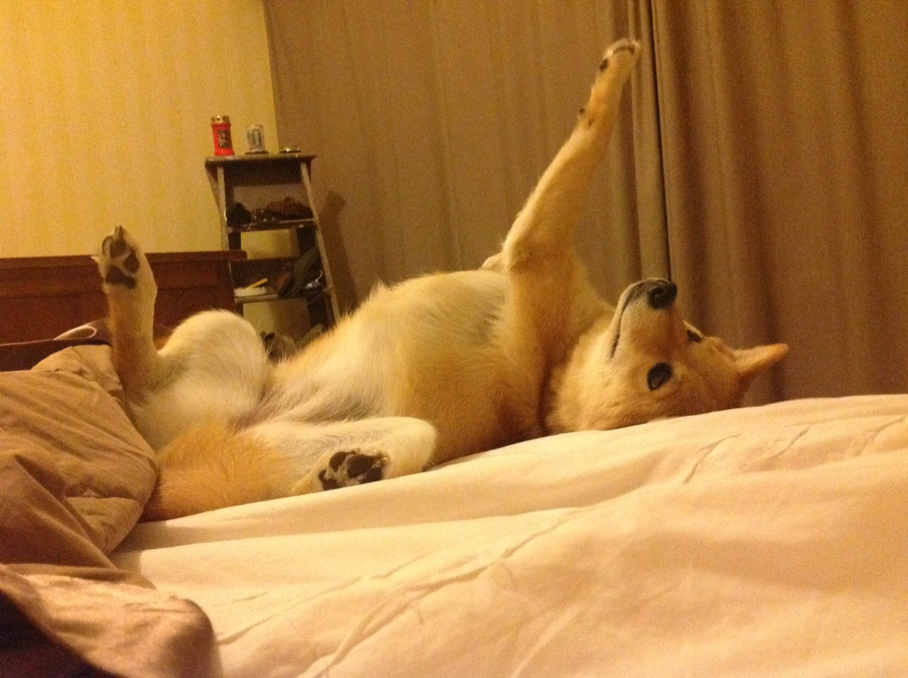 冰面指挥家,孔德的完美节奏如何击溃丹麦防线