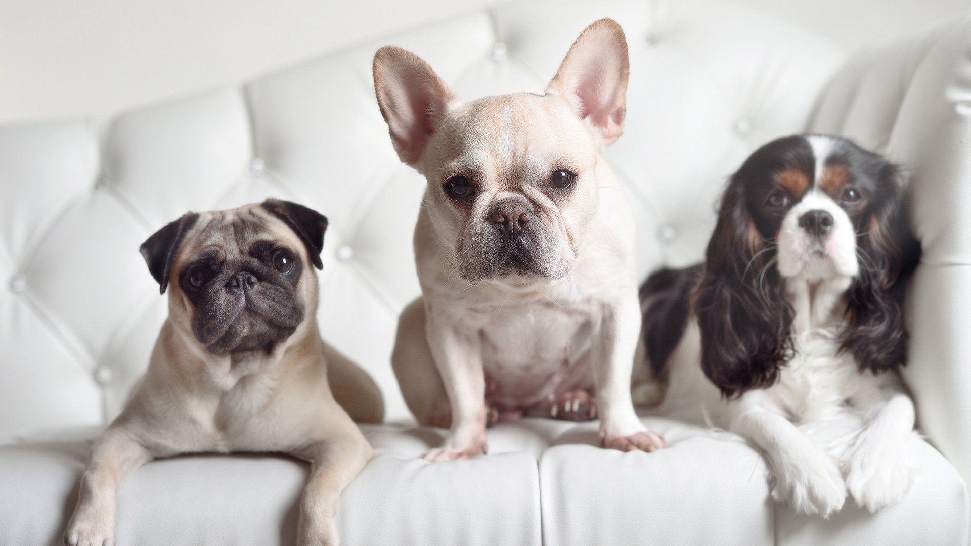 当旧神退场的火焰，点燃新王登基的黎明，亚洲新星与南美余晖的时代对话