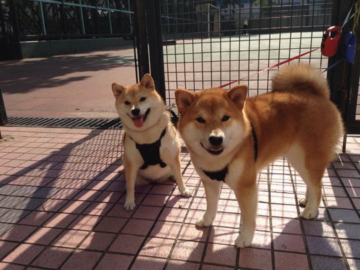 开云体育中国-隐形的巨人，卡瓦哈尔一锤定音，伯纳乌见证最被低估的致命武器