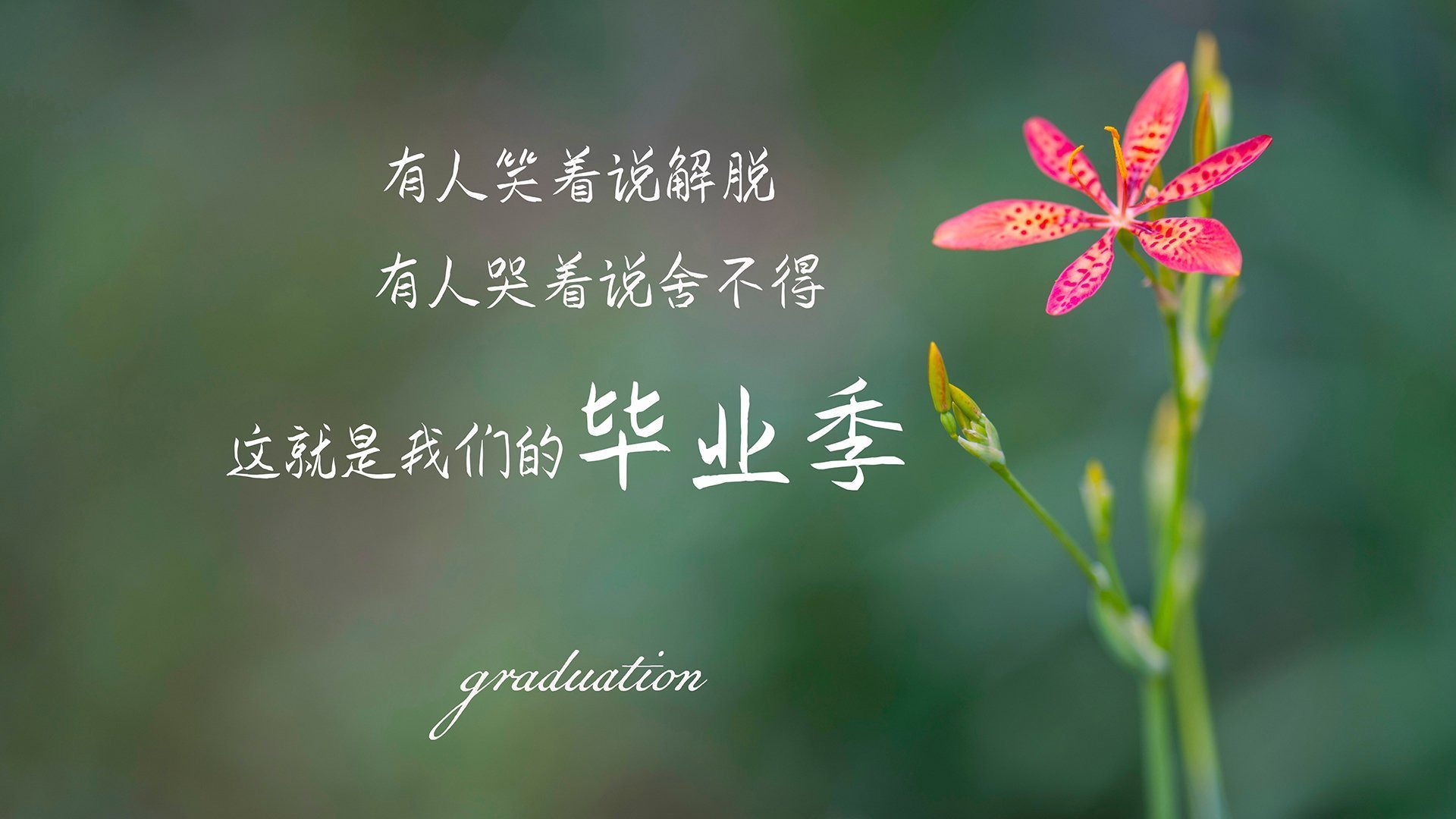 沉默领袖的咆哮，38岁保罗关键战单骑救主，尼克斯险胜北京队背后的奥运宣言