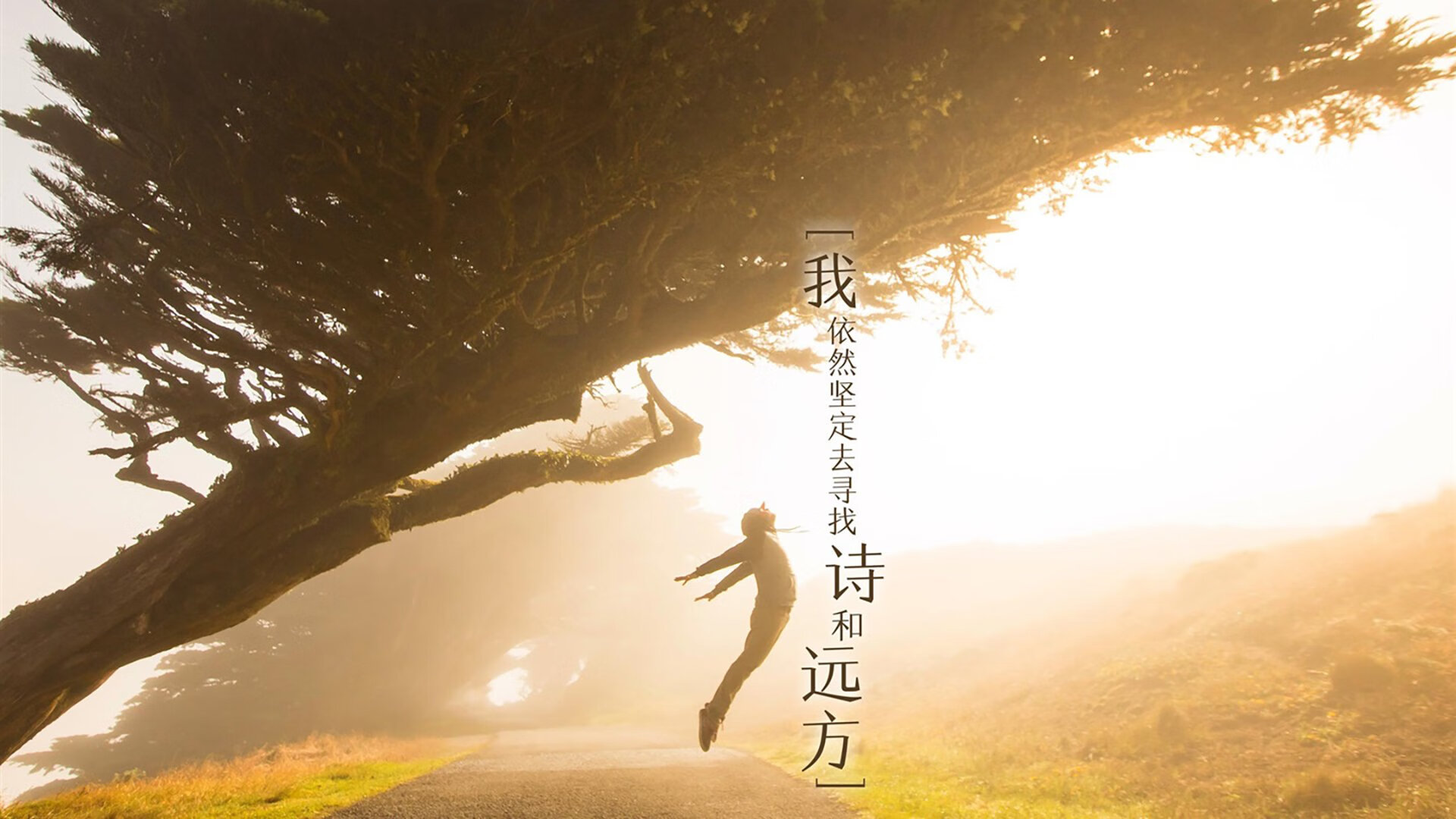 24小时奇迹夜,奥亚尔萨瓦尔1.97米天钩绝杀,南非92分36秒压哨改写历史