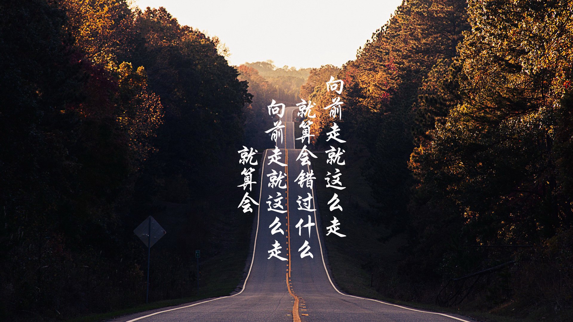 中场大师德容掌控乾坤,瑞士逆转捷克—美加墨世界杯焦点战钢铁交响曲