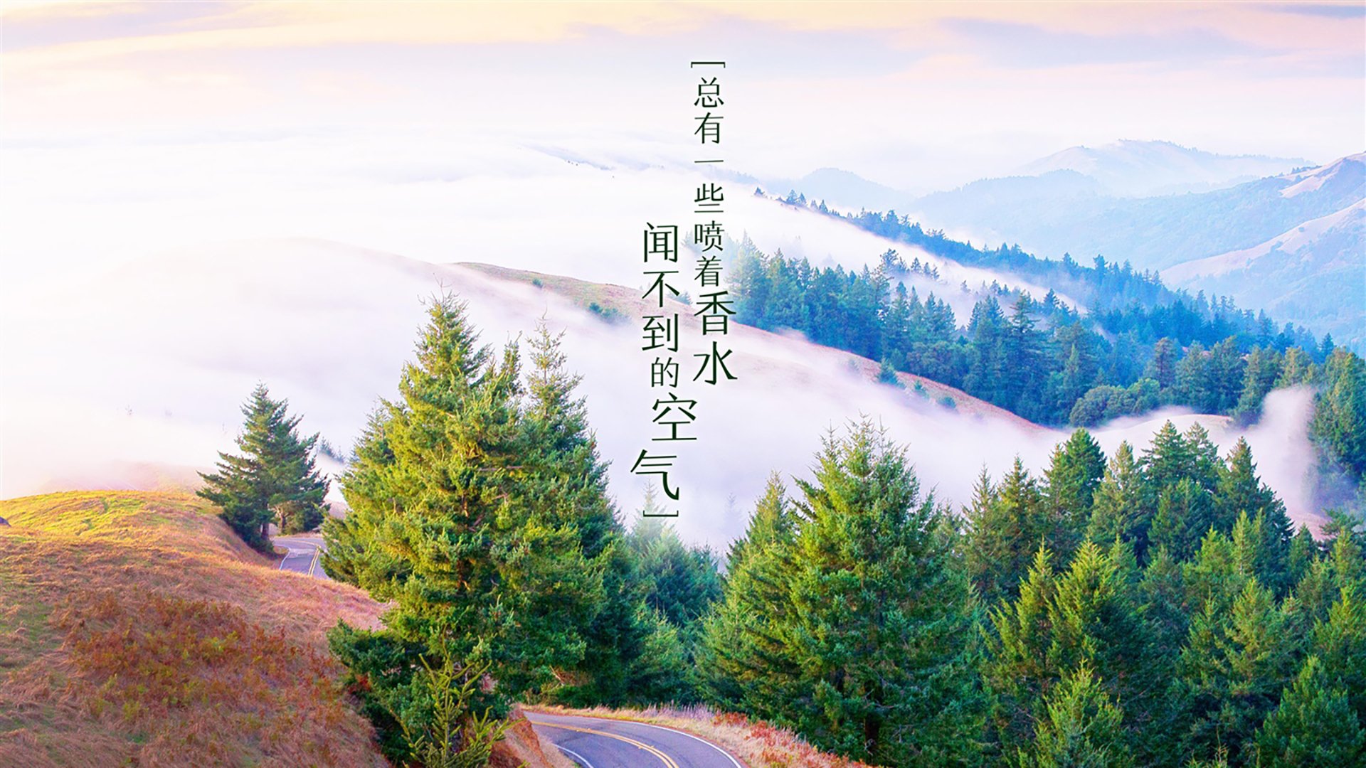开云体育2026-绝杀与双面，维尼修斯的唯一救赎—2026世界杯揭幕战，匈牙利逆转尼日利亚