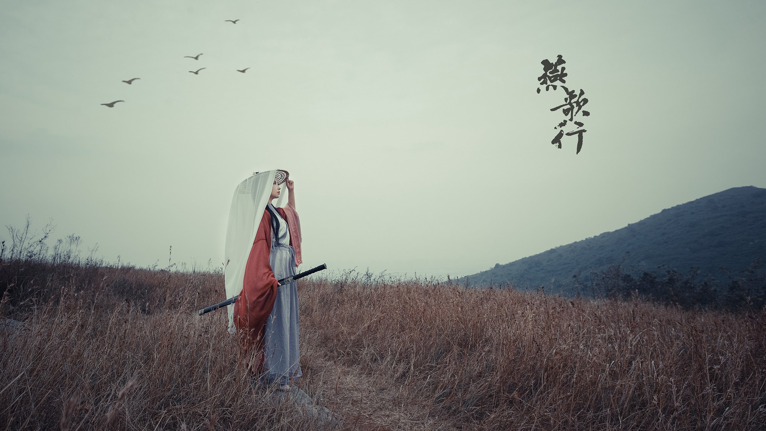 开云体育在线-逆风重生的蓝武士，阿诺德的钢铁防线如何被日本闪电反击撕碎？