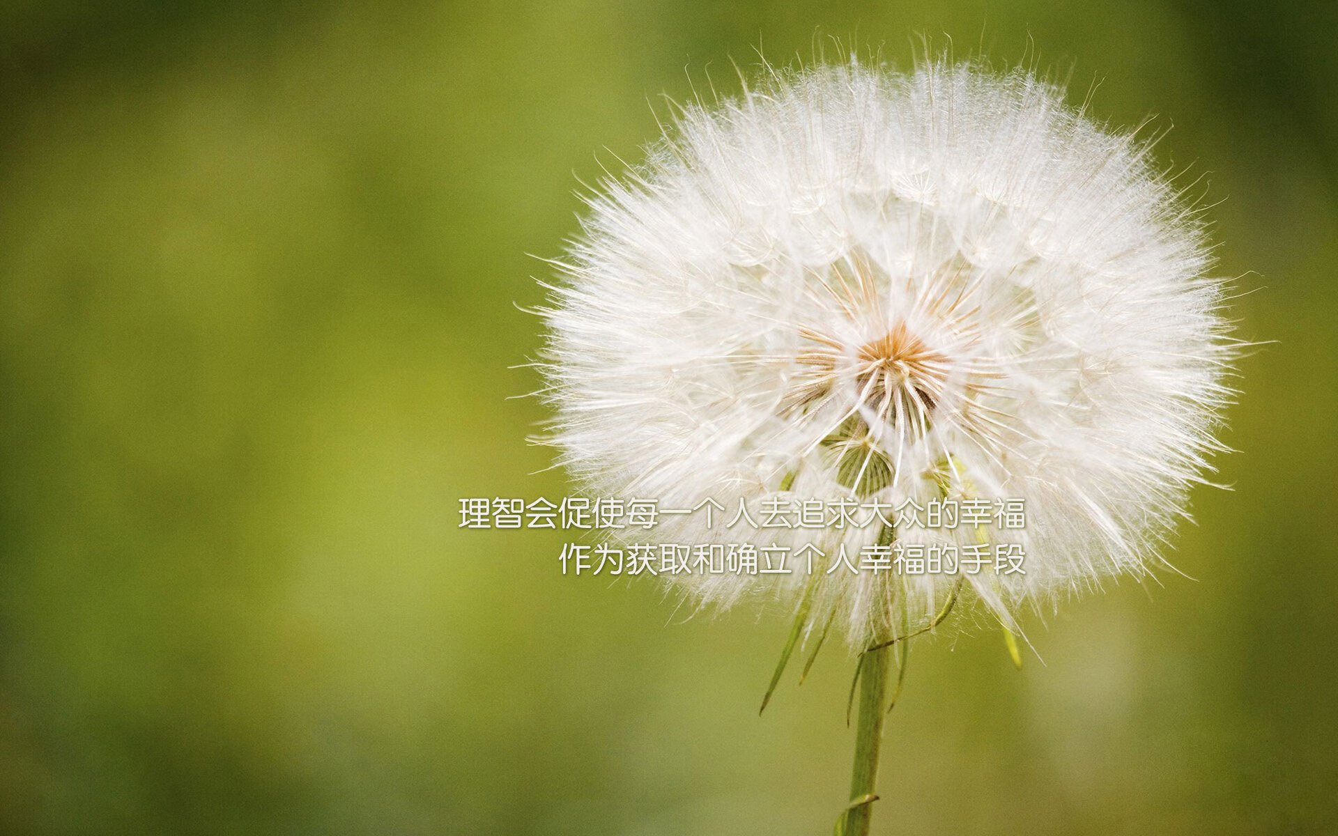 开云体育APP下载-奇迹之夜，37岁吉鲁归化印度，一记绝杀点燃A组生死战—2026世界杯印度2-1险胜墨西哥全纪实