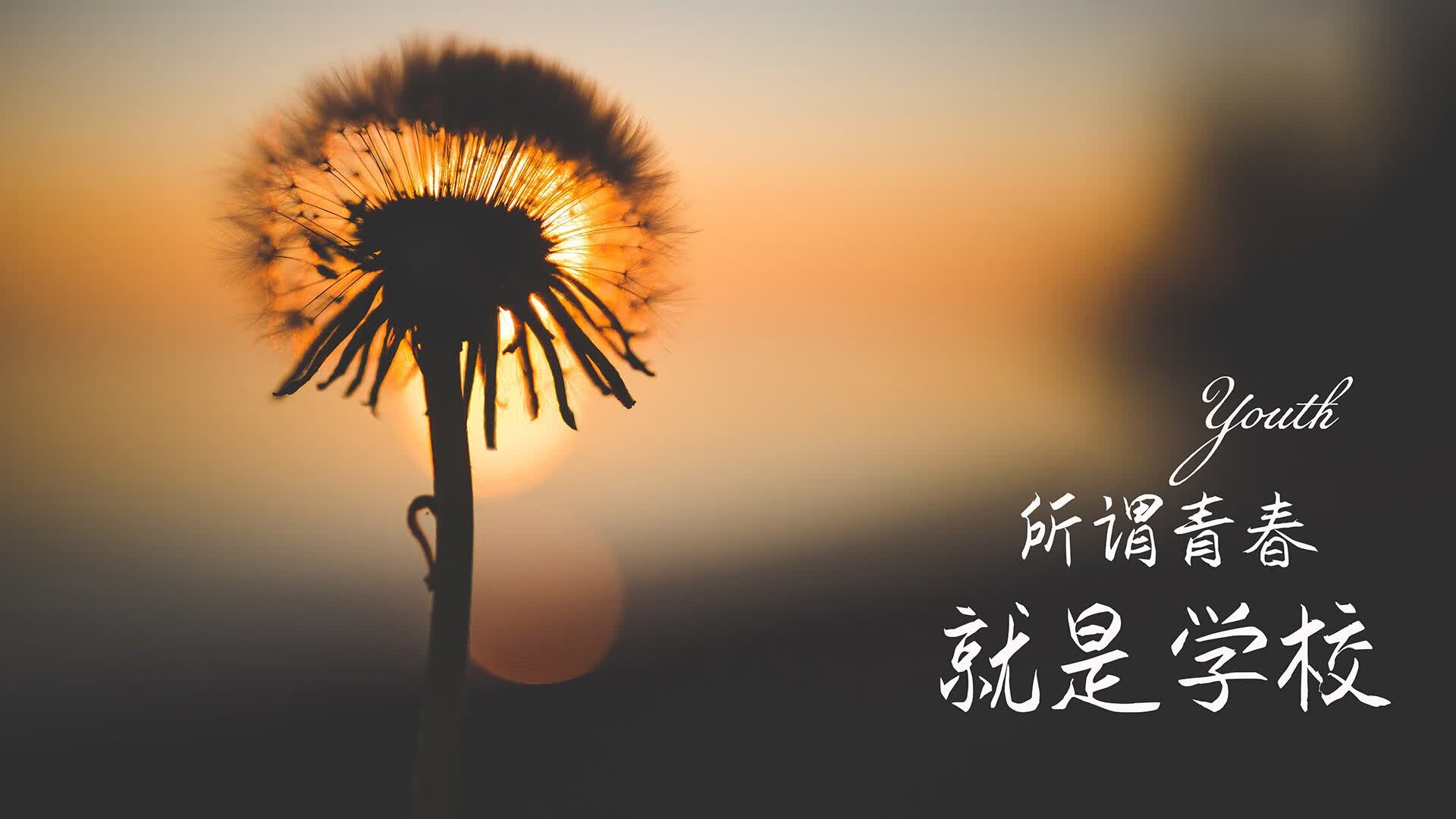 沙漠之狐的利爪,奥斯梅恩撕裂南美防线,突尼斯如何在C组唯一性绞杀战中让秘鲁沦为背景