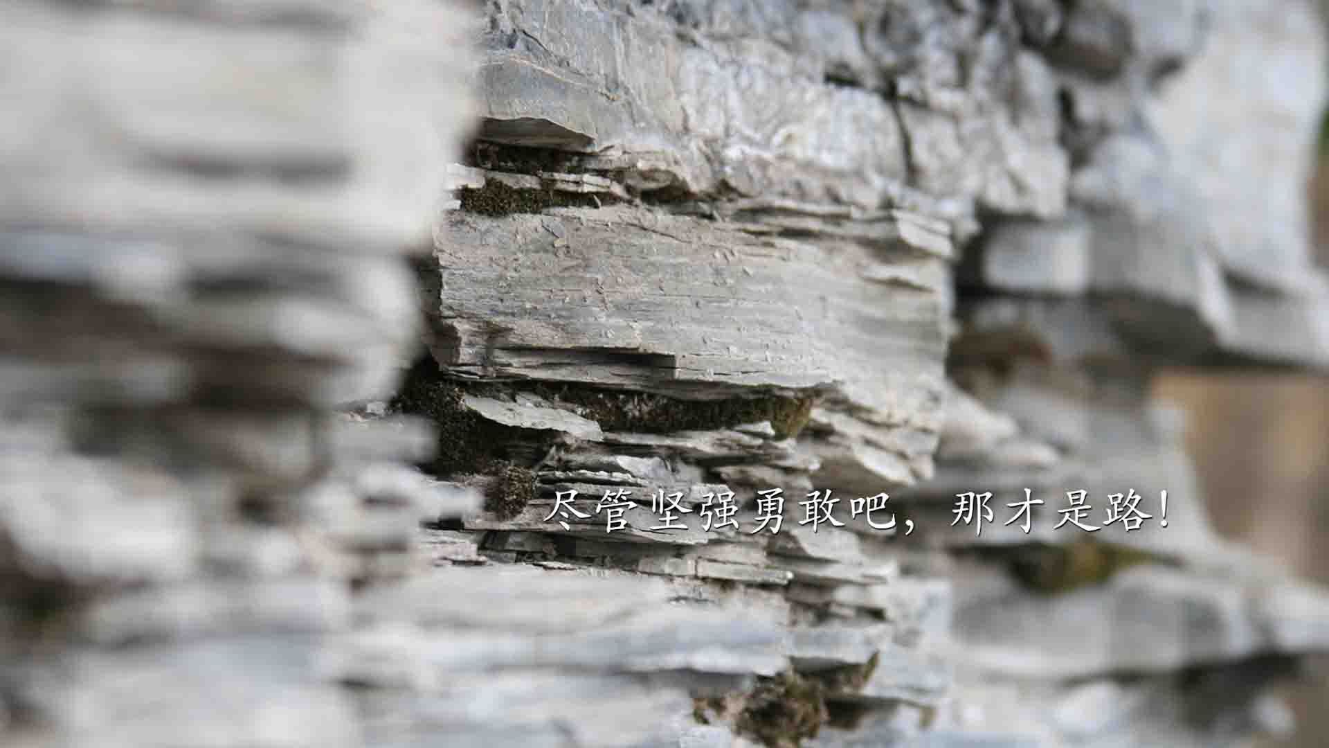 南美铁骑踏破迦太基，托纳利导演逆转，替补奇兵一剑封喉—2026世界杯G组焦点战，厄瓜多尔力克突尼斯