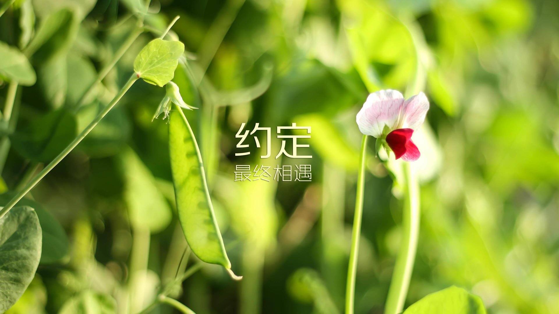 开云体育2026-冰原德比，烈焰之心，努涅斯主宰，瑞典横扫芬兰，北欧内战定乾坤