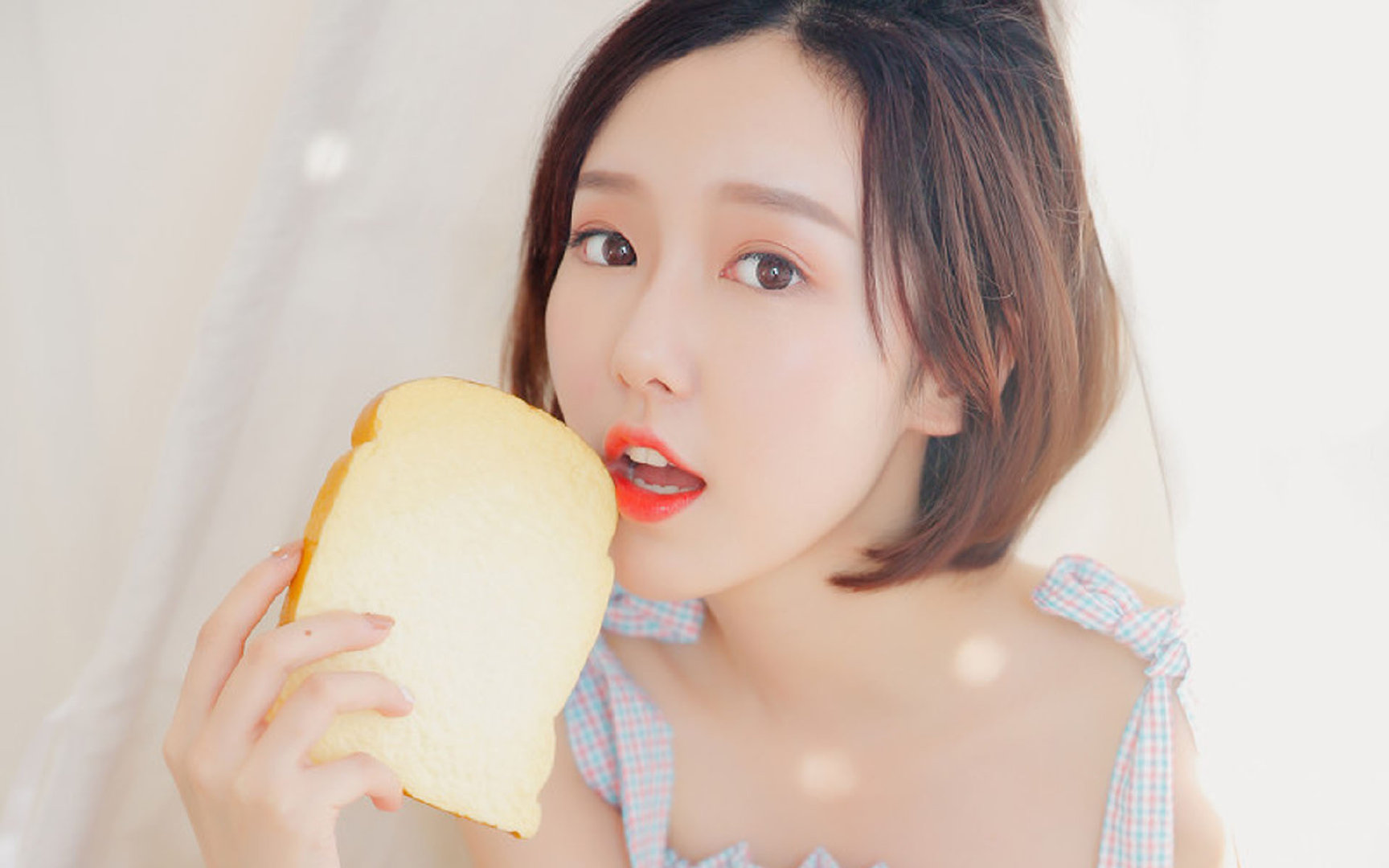 （提案）